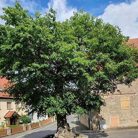 Ferienwohnung Zur Linde Dettelbach Exterior foto